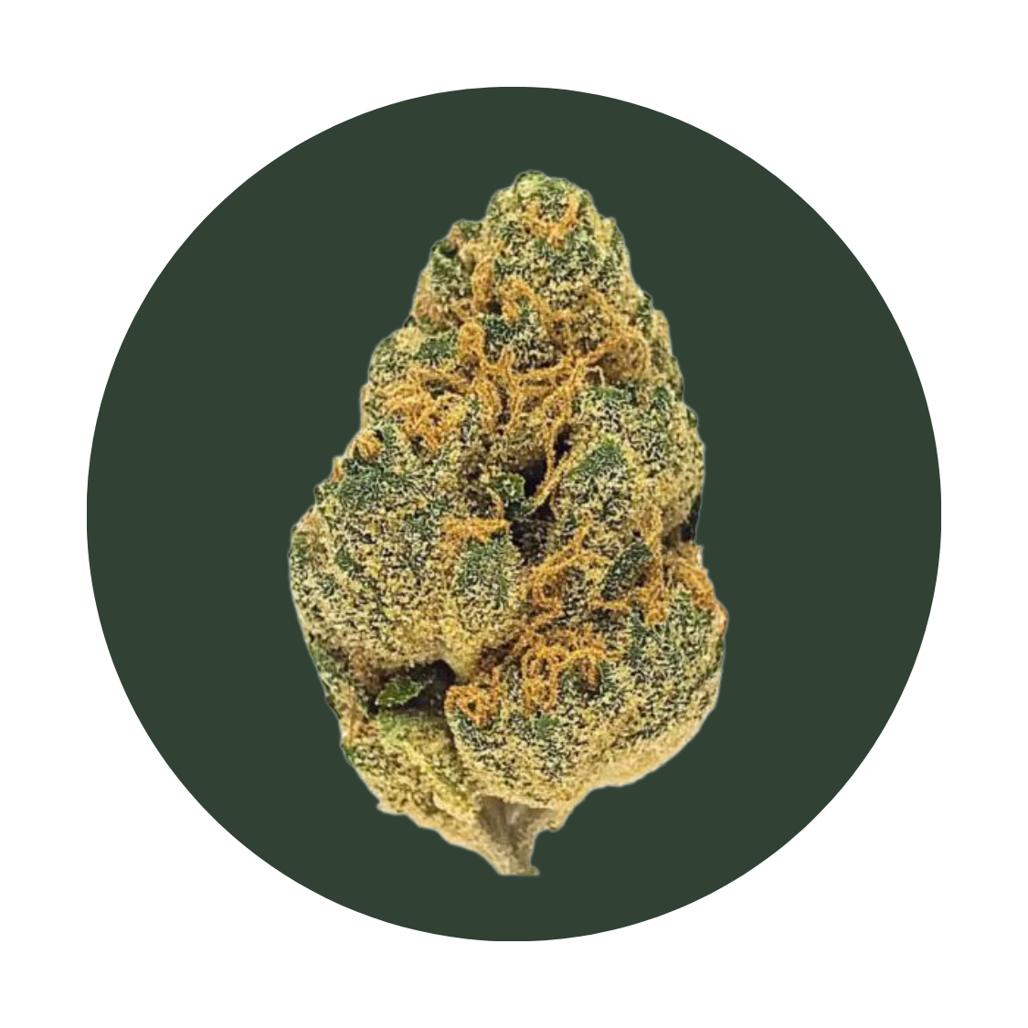 PapayaBomb strain
