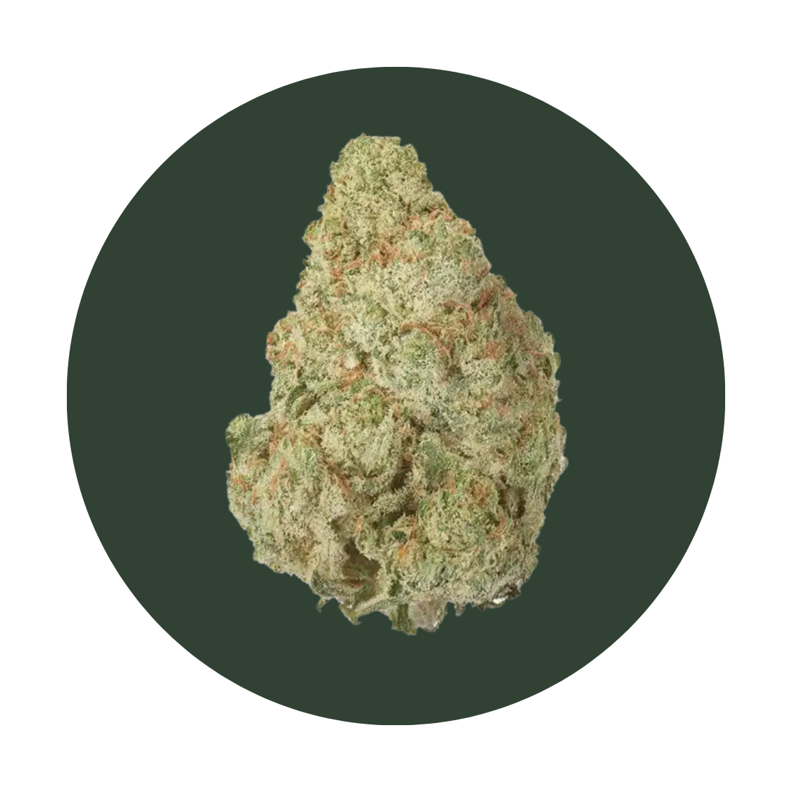Paytons Pie strain