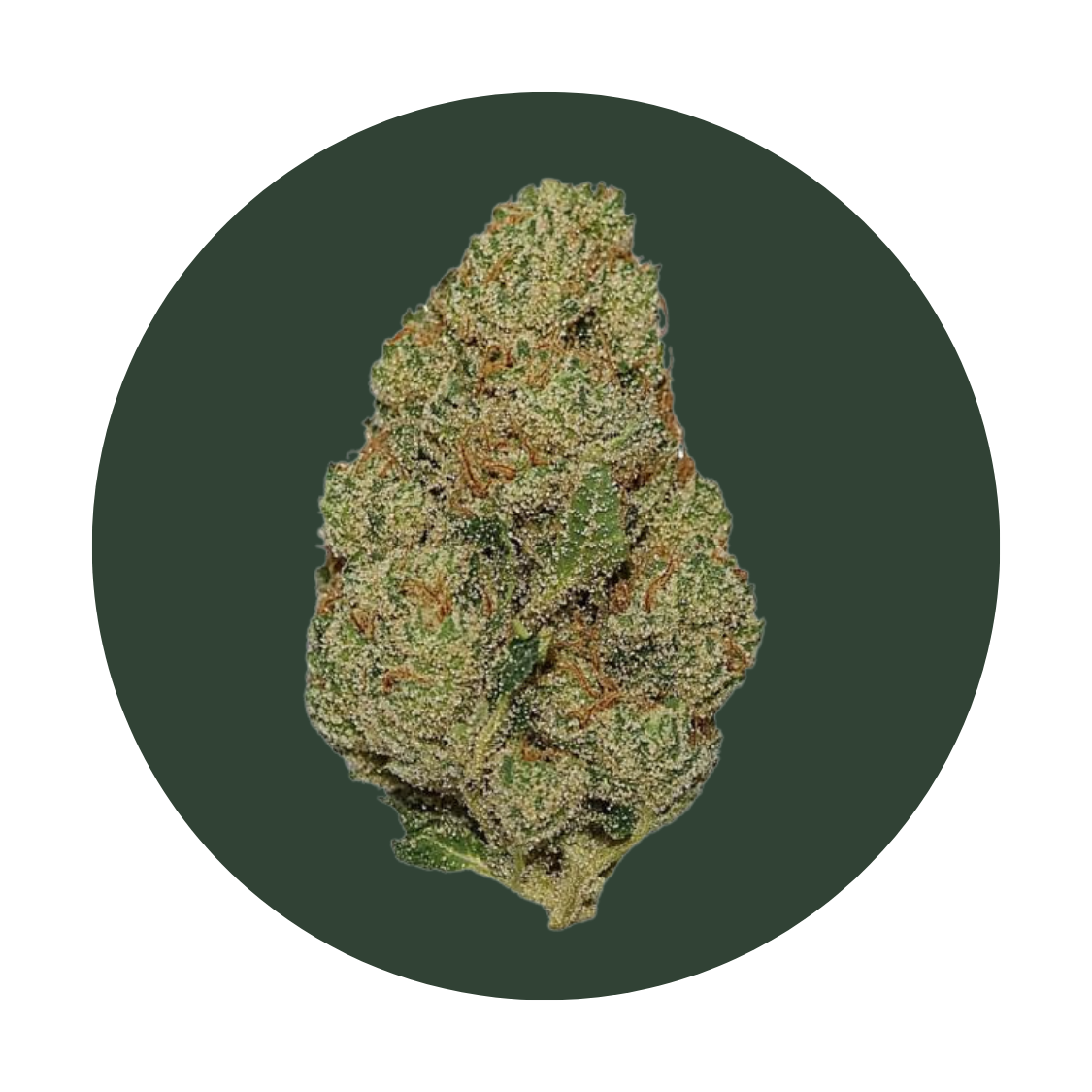 Pineapple Express strain