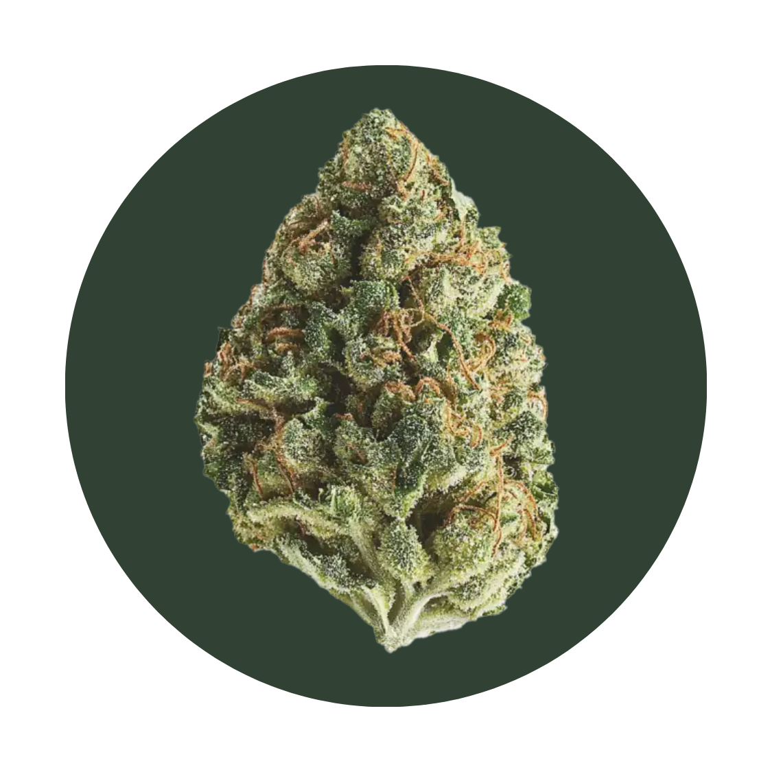 Planet of the Grape strain