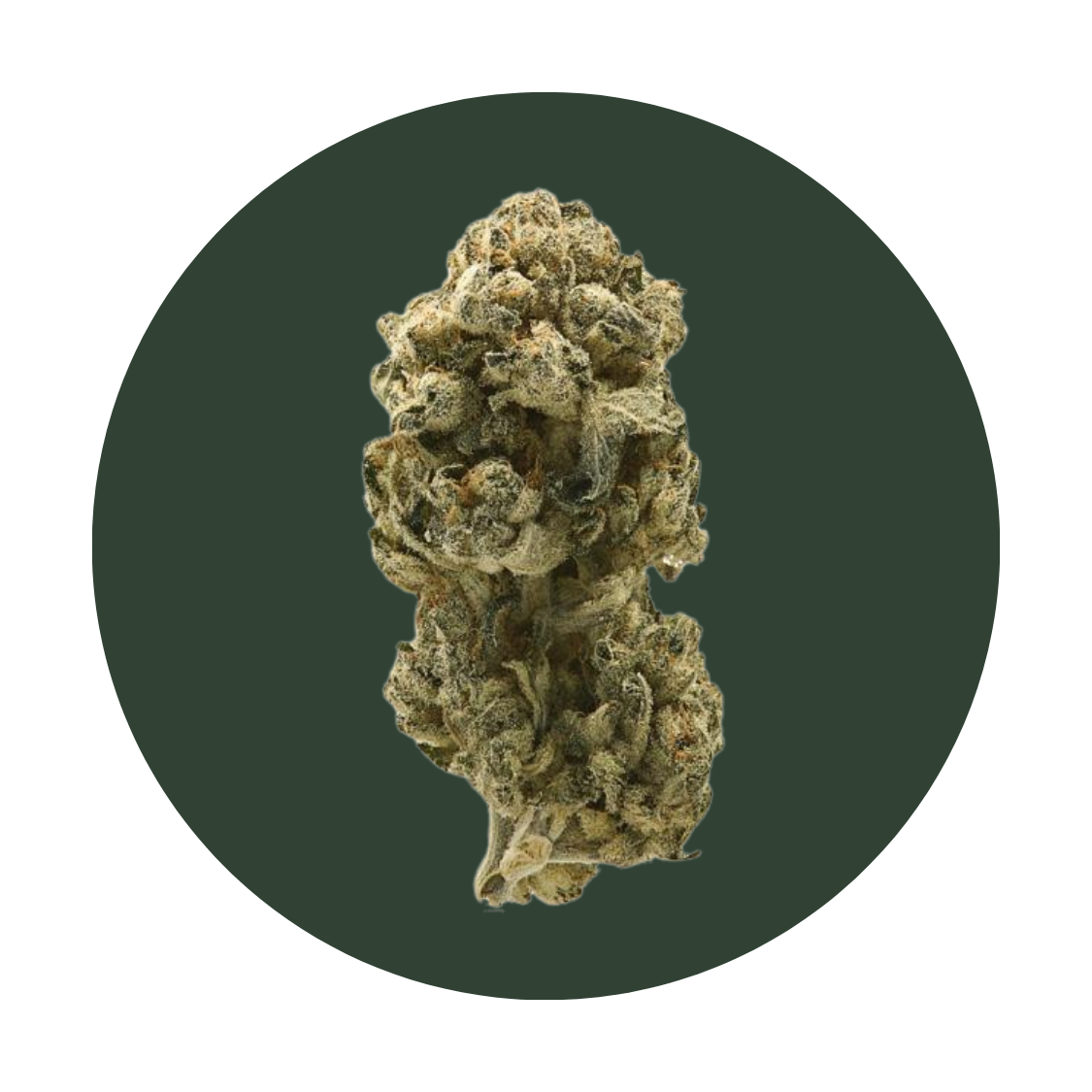 Puffinz strain