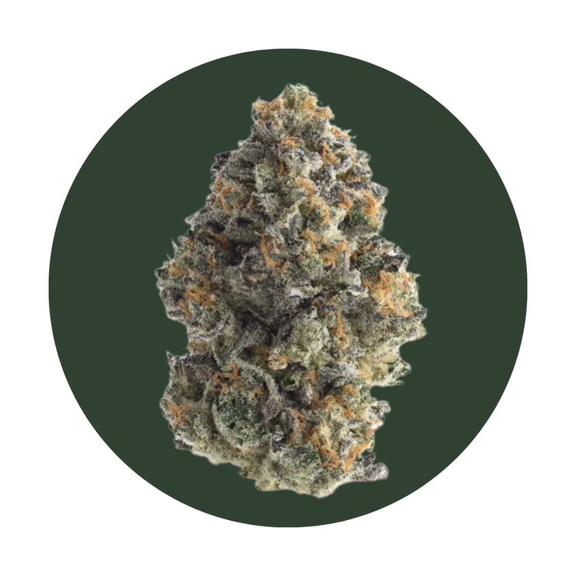 Rainbow Belts strain