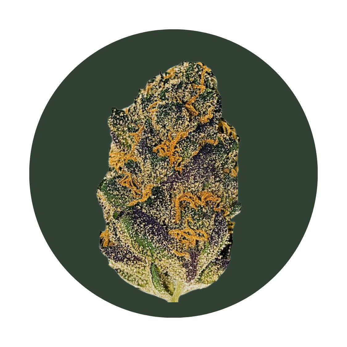 Road Trip strain