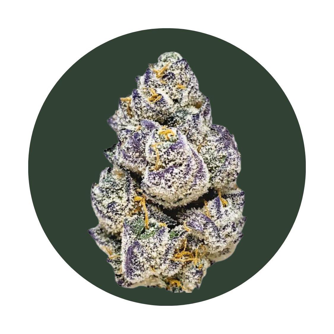 Ruby Violet strain