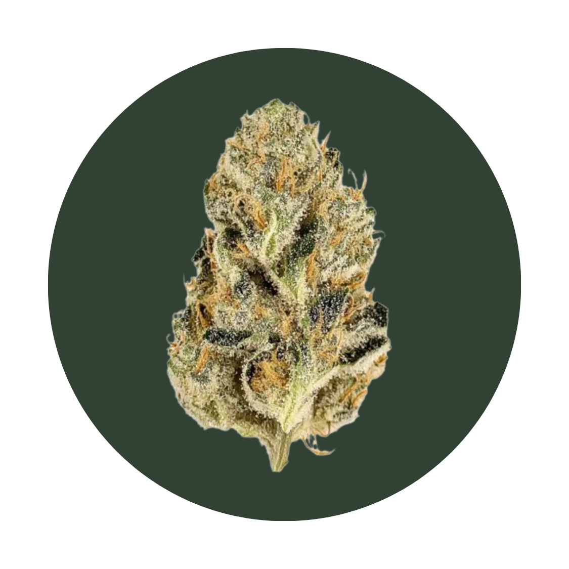 SOAP strain