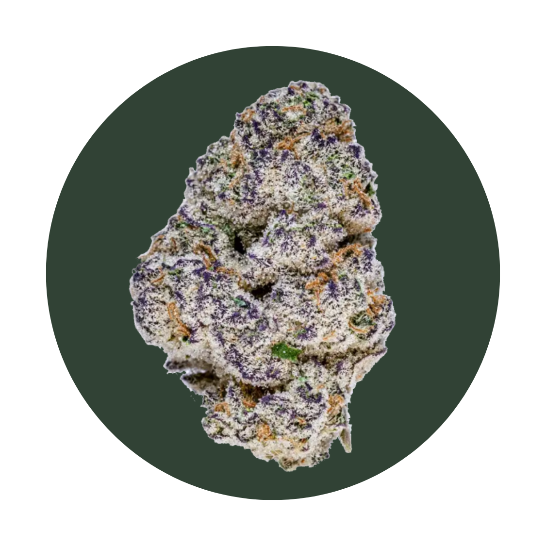 Slurricane strain