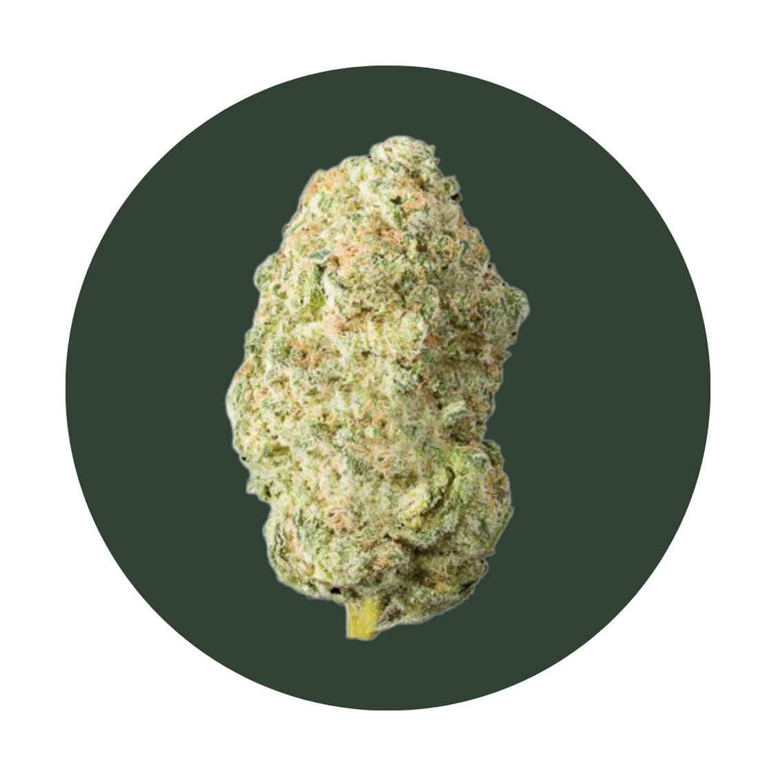 Sour Lemon Lime strain