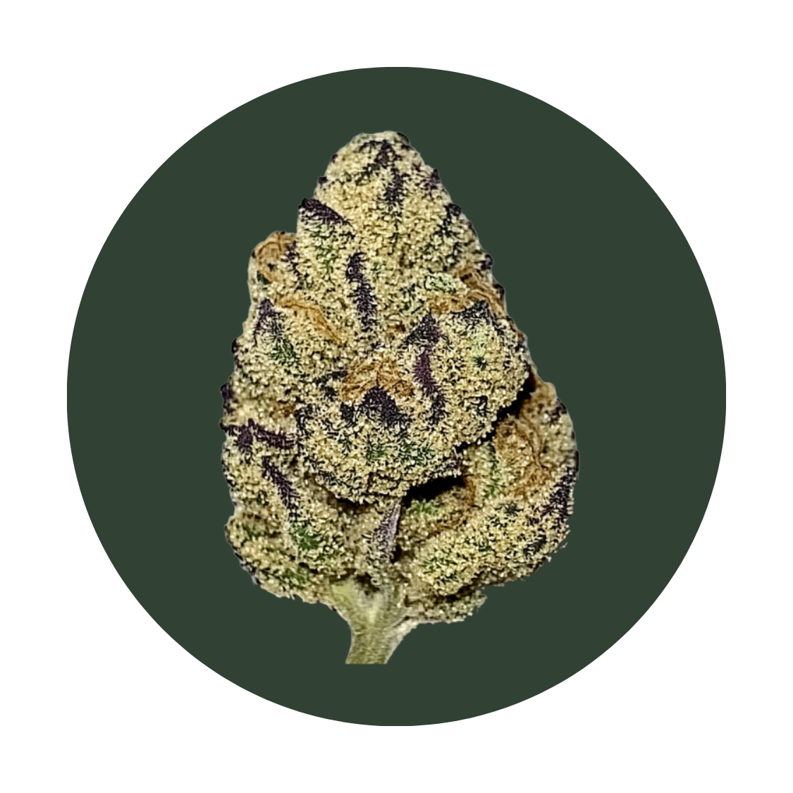 Super Lemon G strain