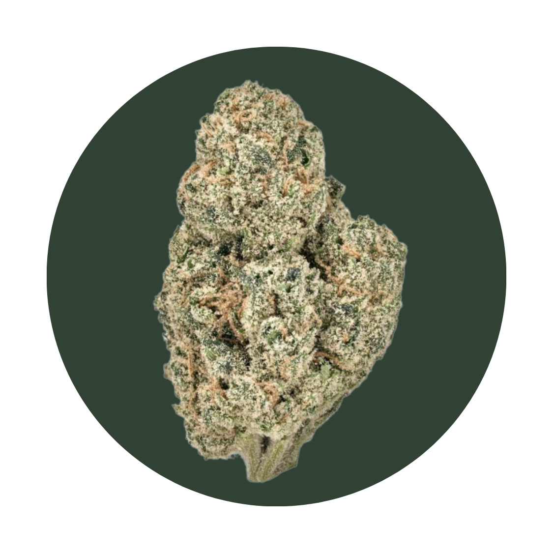 Tangerine strain