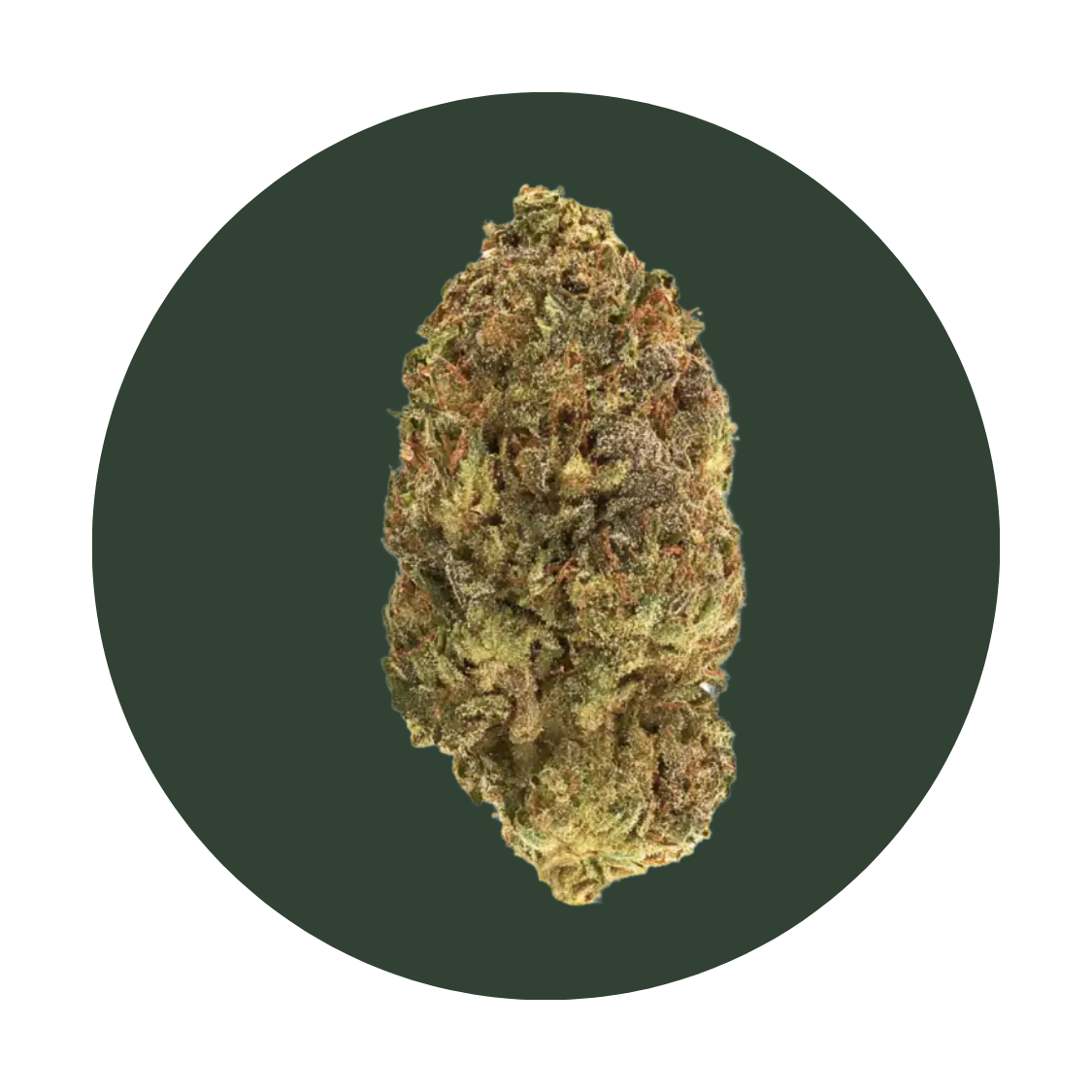 Tigers Blood strain