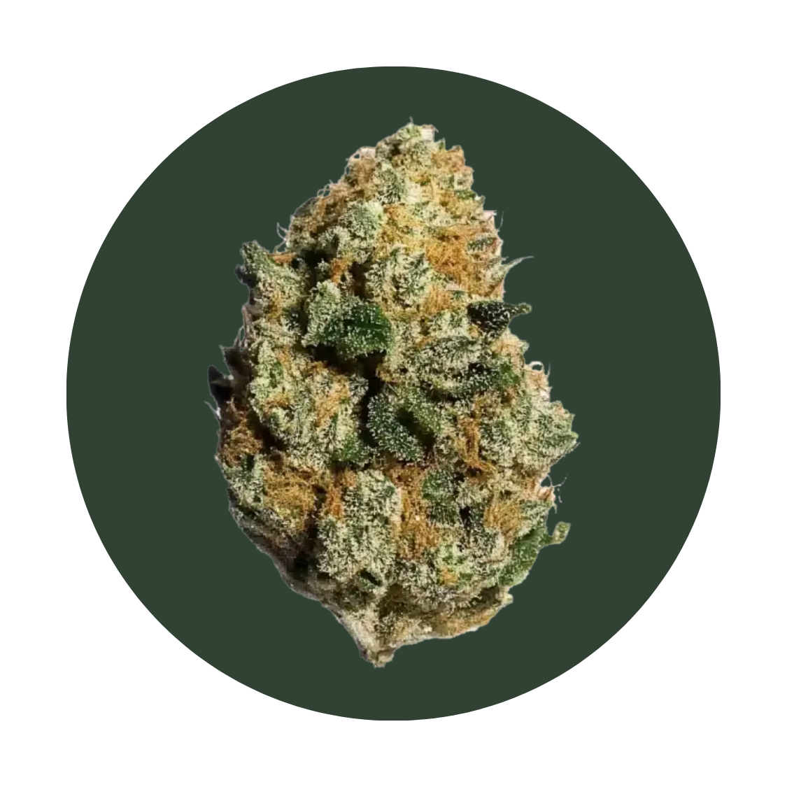 Tropic Funk strain