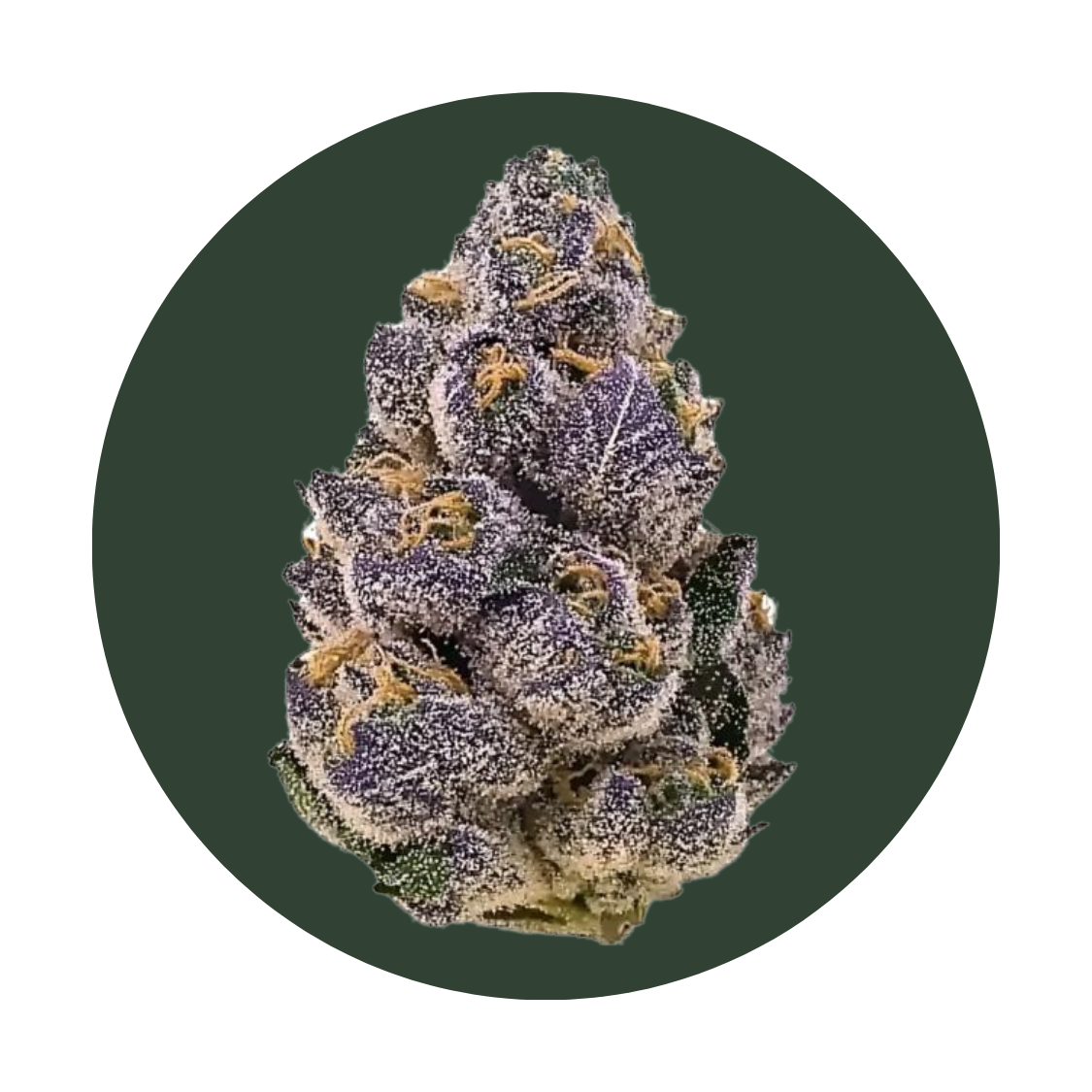 Tropicana Cookies strain