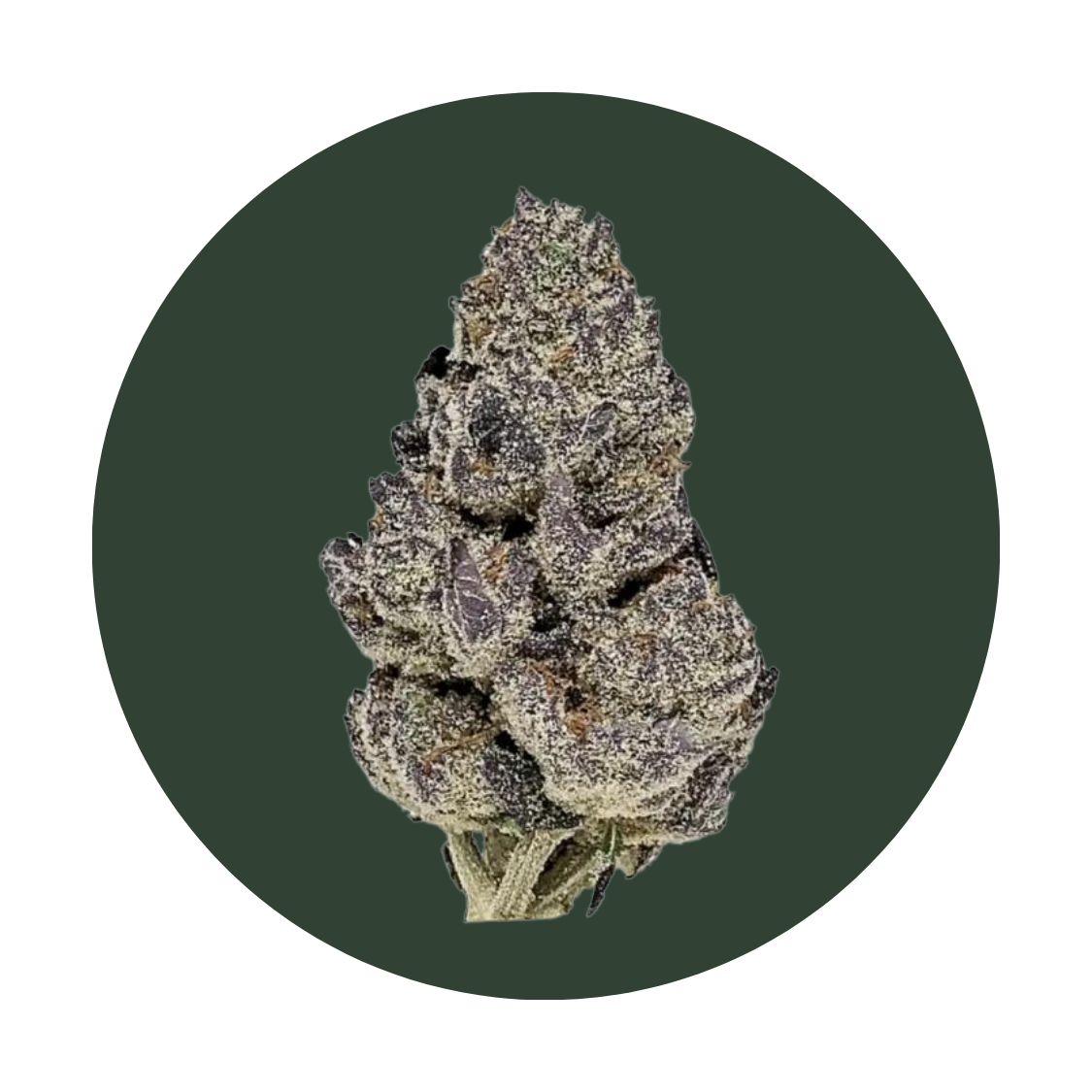 Vice City strain