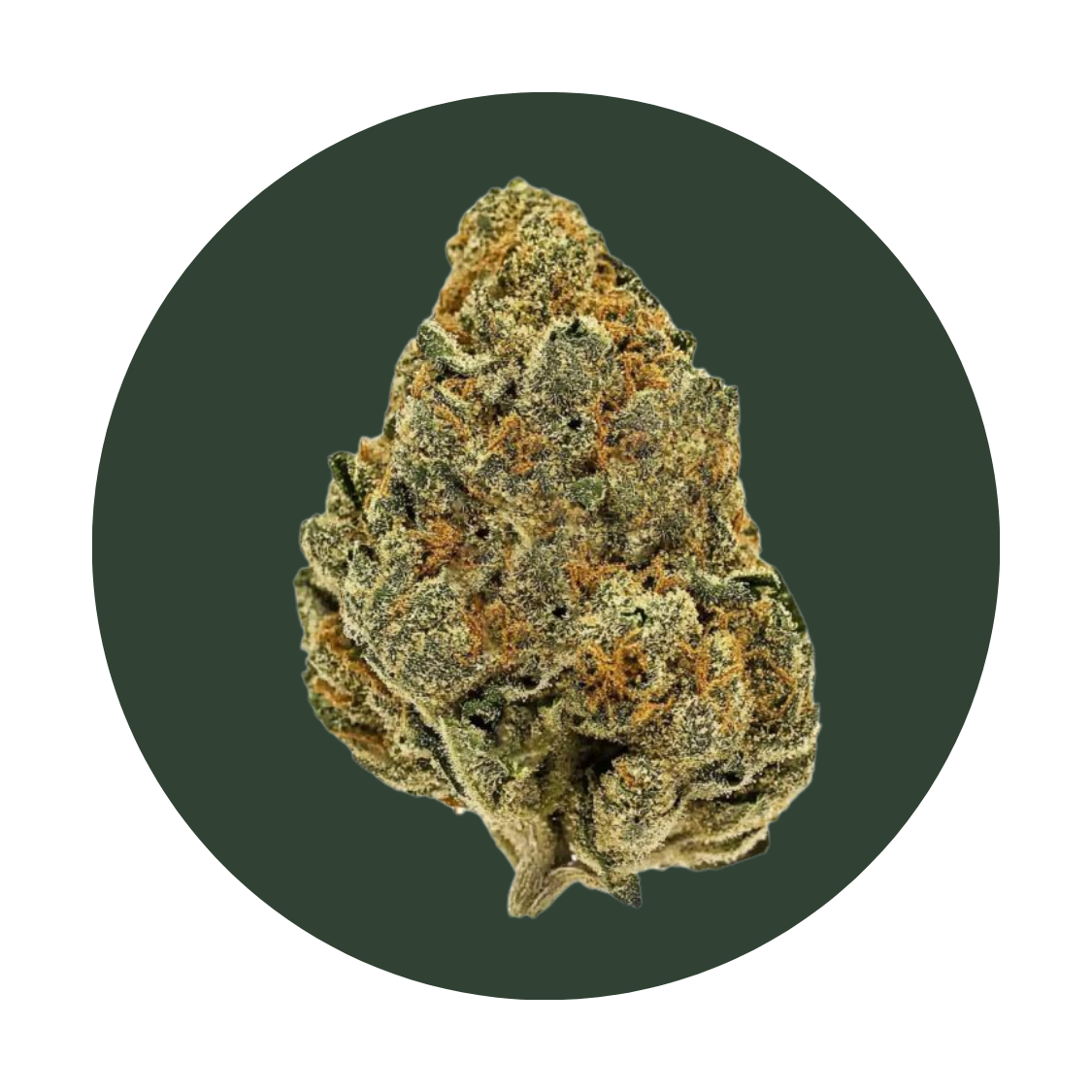 Watermelon Mint strain