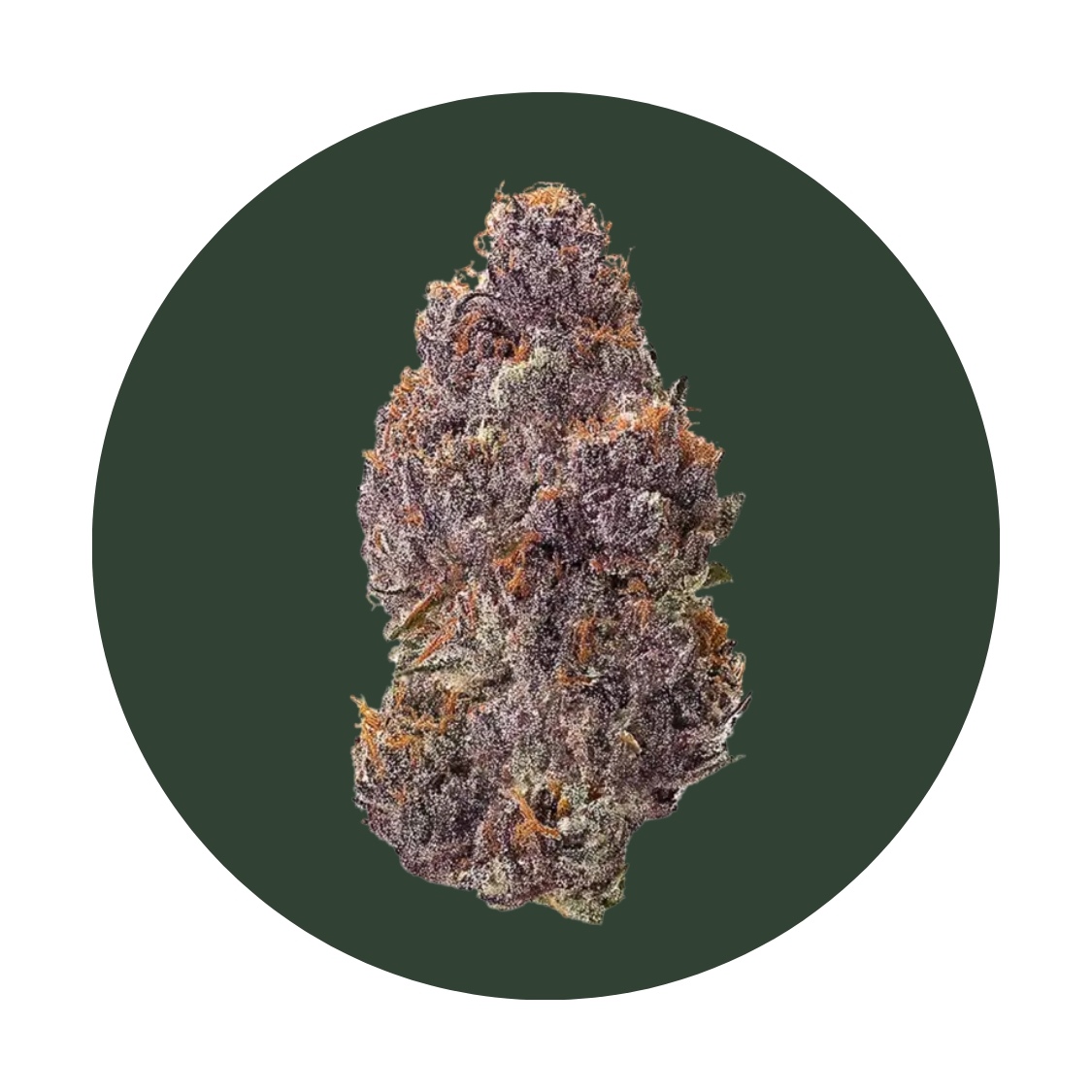 Watermelon Z strain