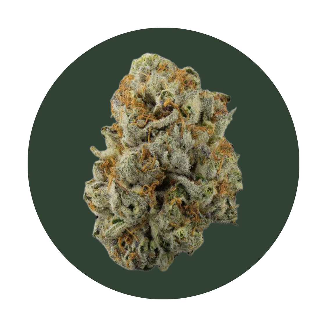 Woreoz strain