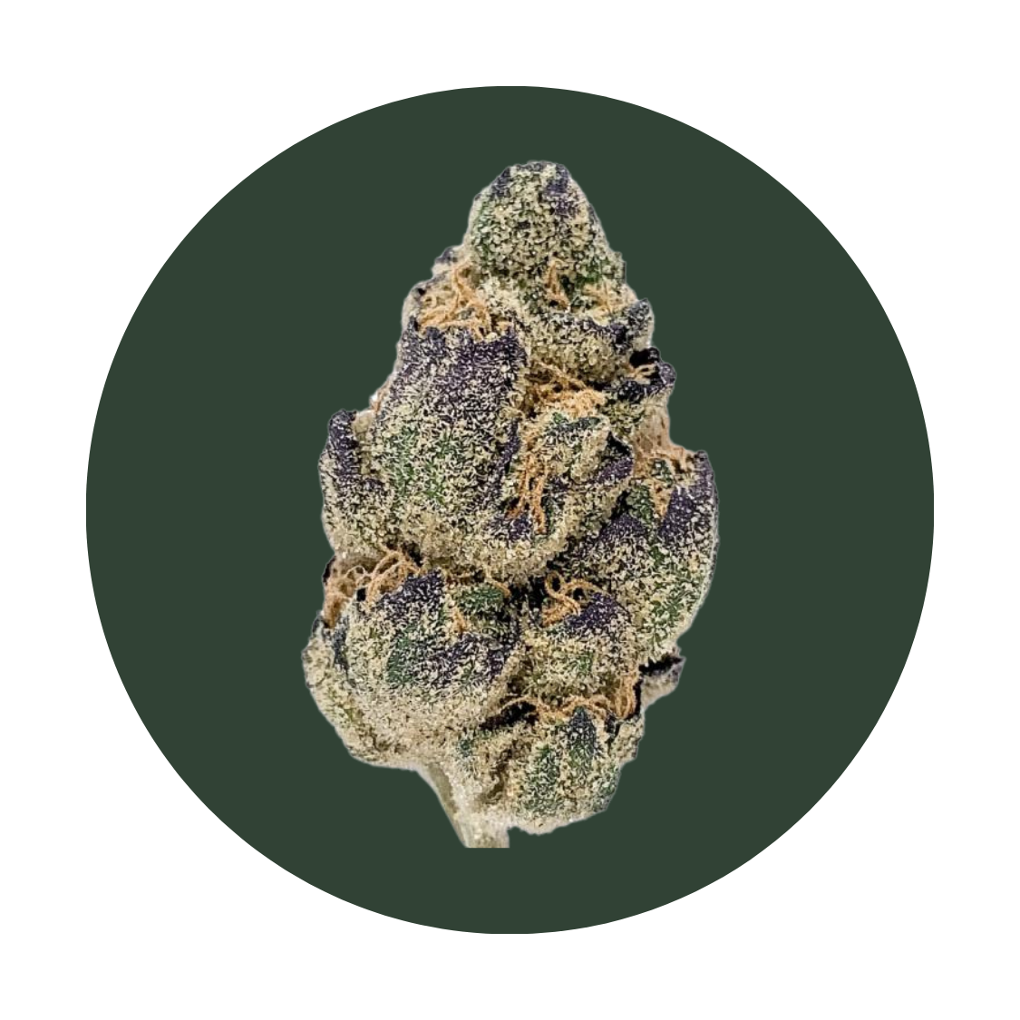Zulu Mints strain