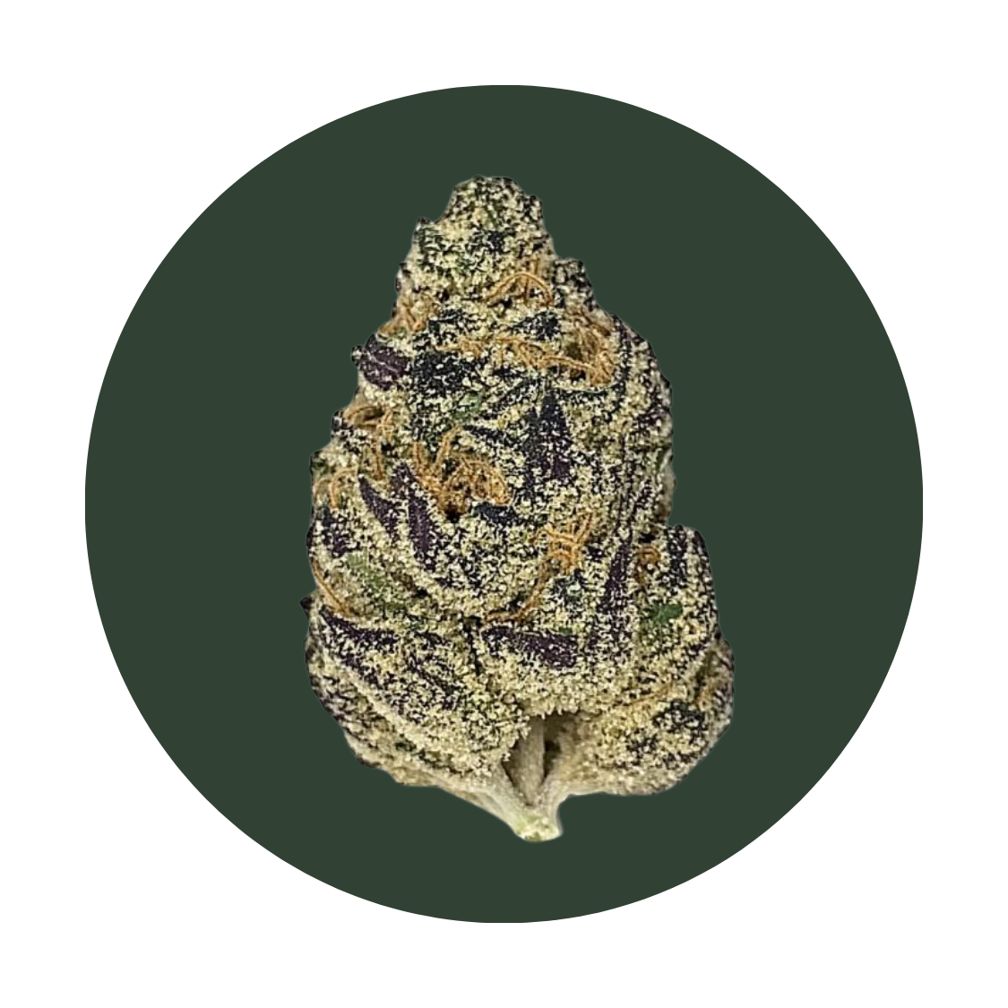 Zummies strain